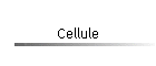 Cellule